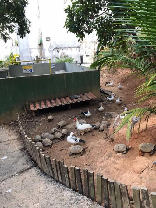 Apt° Ideal Estadias Longas Em Familia! * Salvador